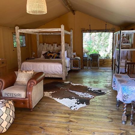 Отель Rhino'S Retreat Waipapa Экстерьер фото